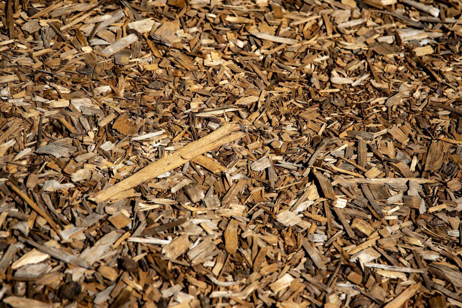Fresh hardwood bark mulch laid evenly across a planted bed.