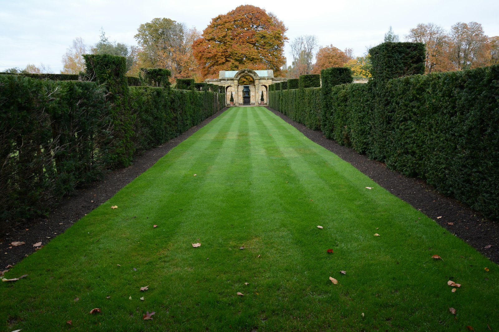 Long deep green lawn flanked by trimmed hedges — a maintained Woodlands-style yard.